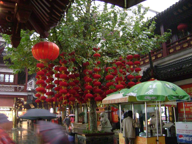 Tree hangings