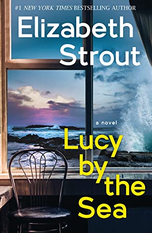 Lucy by the Sea book cover