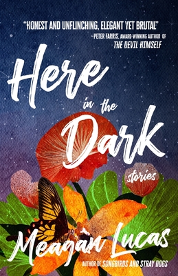 Here in the Dark book cover
