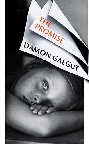 The Promise book cover