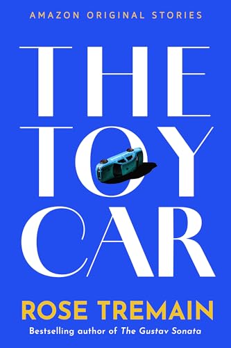 The Toy Car book cover